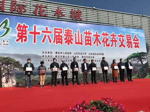 喜訊 抬頭園林榮獲泰安苗木交易會 產(chǎn)品金獎(jiǎng)